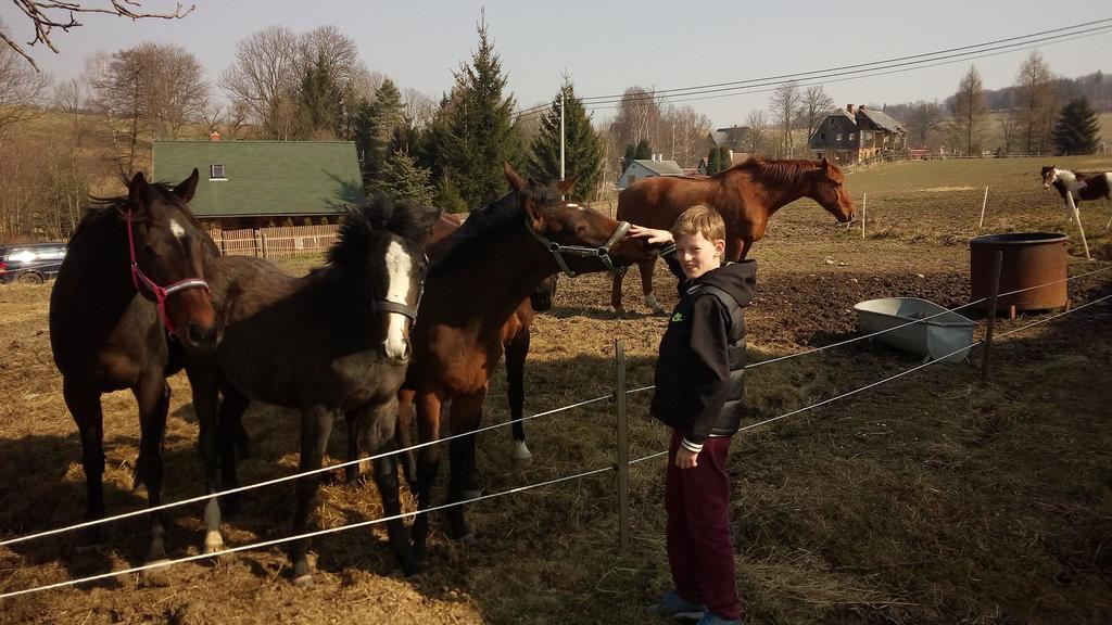 Country Club Konirna Ξενοδοχείο Šluknov Εξωτερικό φωτογραφία